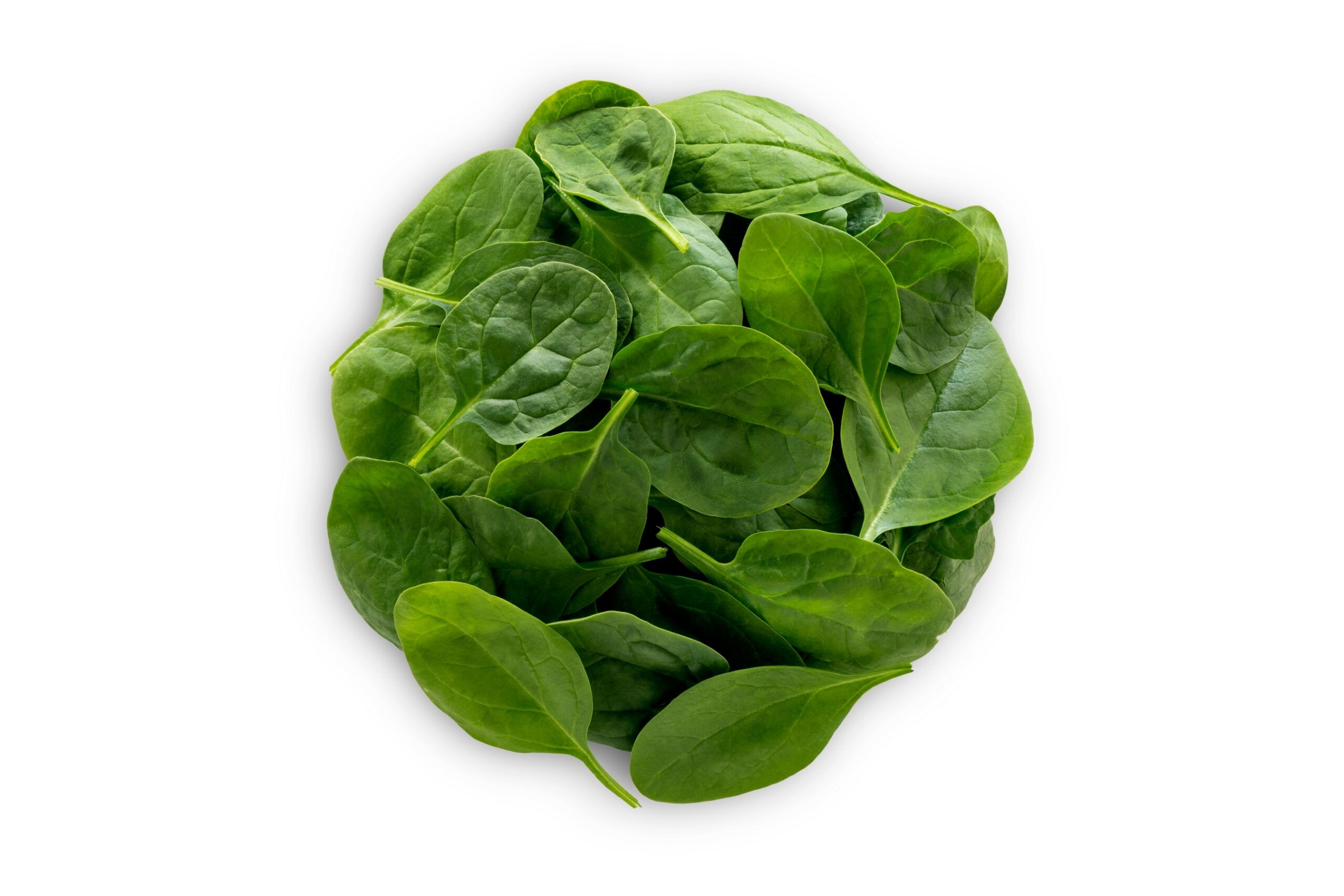 ESPINACA HOJA PORC. CN 4unds x 2,5kgs