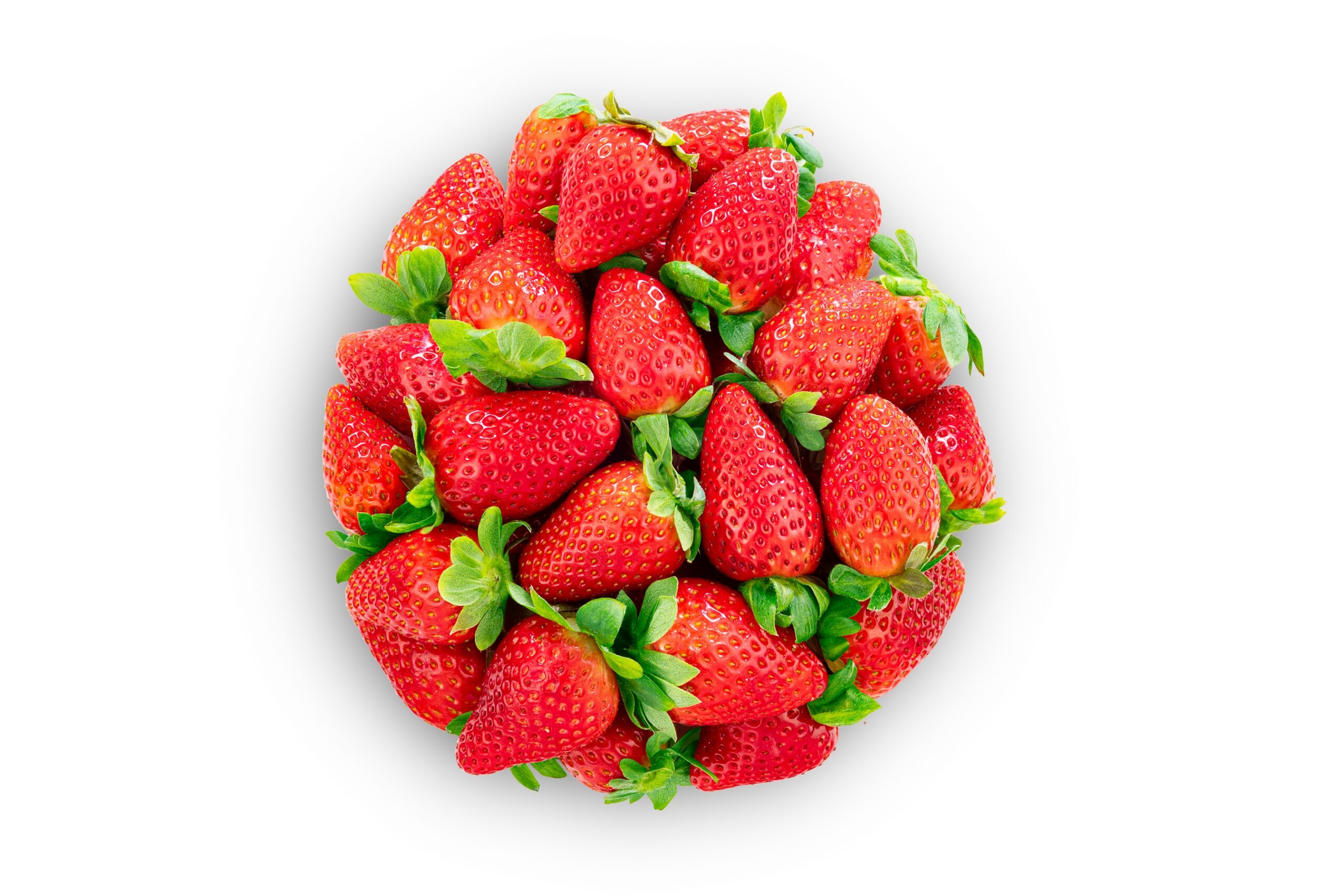 FRESA ENTERA CN 5unds x 1kg