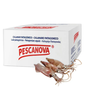 CALAMAR PATAG Nº4 (DE 9/12 cm) 5,20kg/cja. APROXIMADAMENTE
